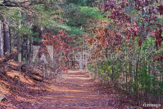 Bild på Autumn pathway